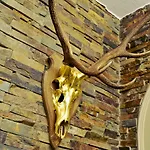 여관 Zum Goldenen Hirschen