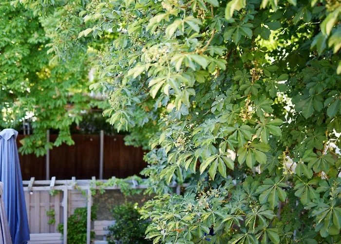 Estalagem Zum Goldenen Hirschen Martinstein